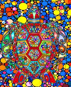 Colorful Turtle