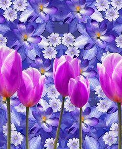 Purple Tulips