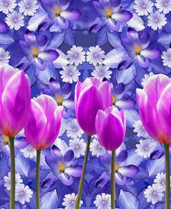 Purple Tulips