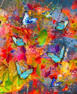 Butterflies Are Colorful