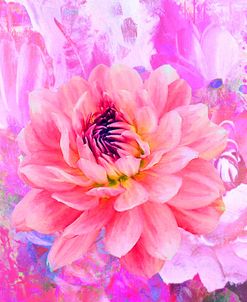 Emotional Journey 34