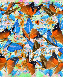 Butterflies 1