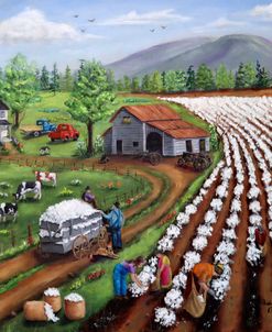 Picking Cotton