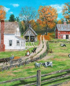 Split Rail Farm