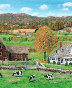 Rural Vista