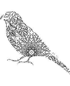 Bird 2