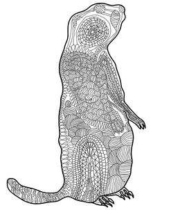 Groundhog