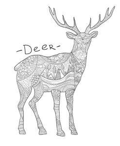 Deer 2