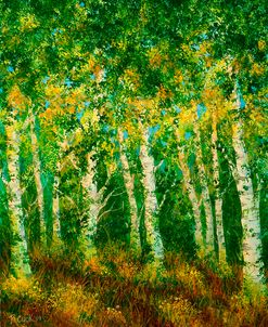 Birch Trees