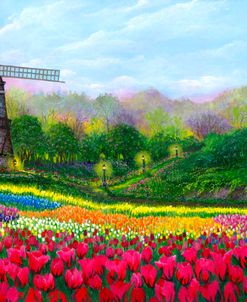 Tulip Garden