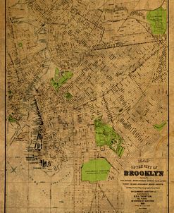 Brooklyn 1883