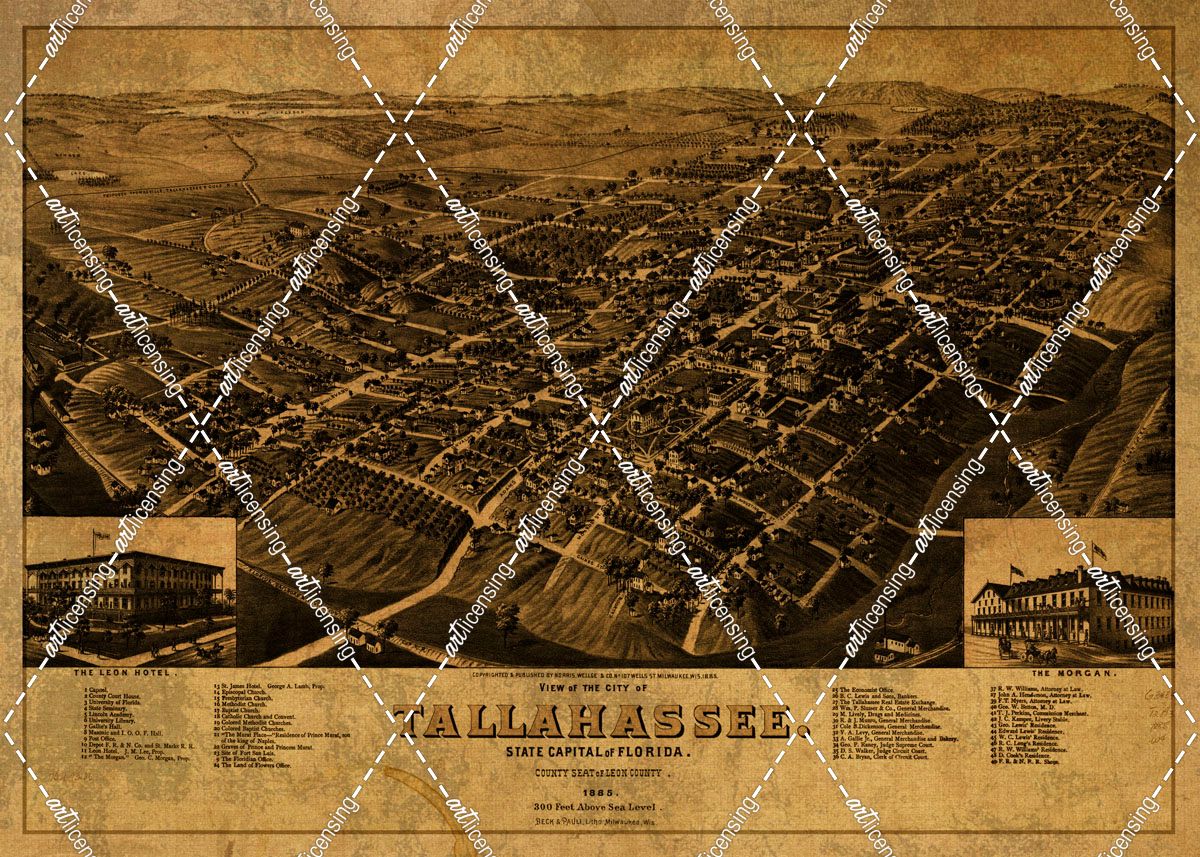 Tallahassee 1885