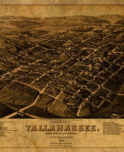 Tallahassee 1885