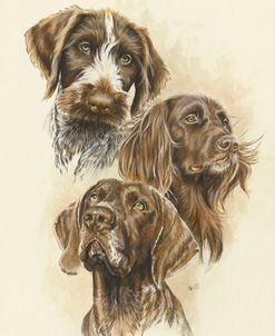 German Pointers