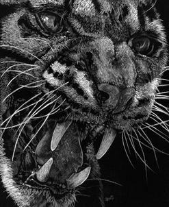Temper
