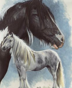 Gypsy Cob