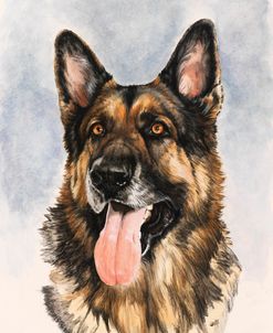 German Shepherd 2