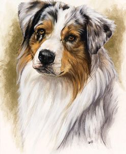 Australian Shepherd