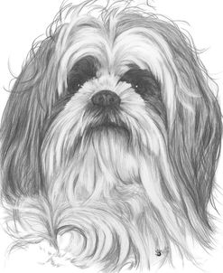 Shih-Poo