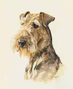 Airedale