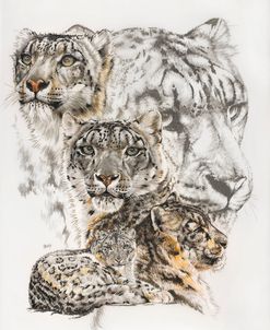Snow Leopard and Ghost Image