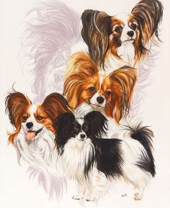 Papillon