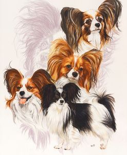 Papillion