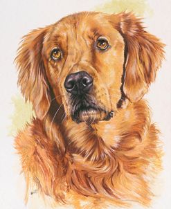 Golden Retriever 2