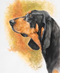 Black and Tan CoonHound