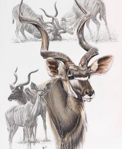 Kudu