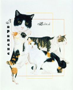 Japanese Bobtail