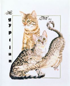 Egyptian Mau