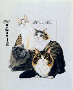 Norwegian Forest Cat