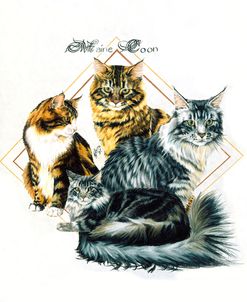 Maine Coon