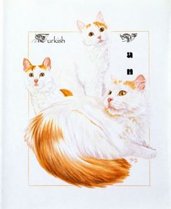 Turkish Van