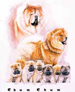 Chow Chow