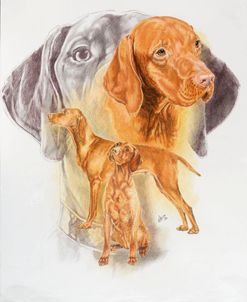 Hungarian Vizsla