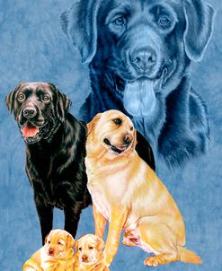 Labrador Retrievers