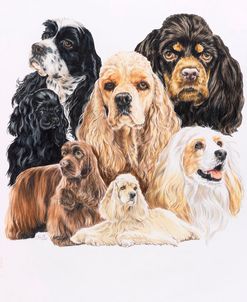 Cocker Spaniel