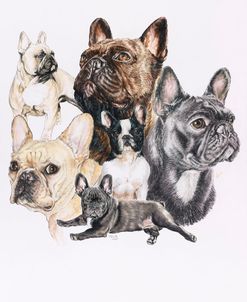 French Bulldog 2