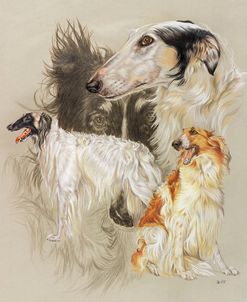 Borzoi 2