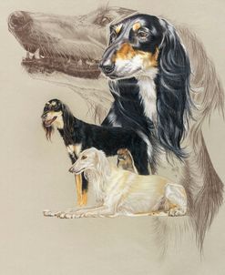 Saluki