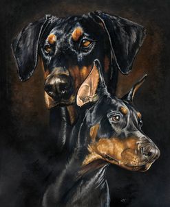 Doberman Pinscher 2