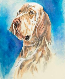 English Setter