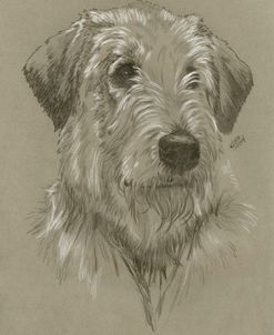 Irish Wolfhound