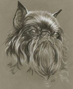 Brussels Griffon 2