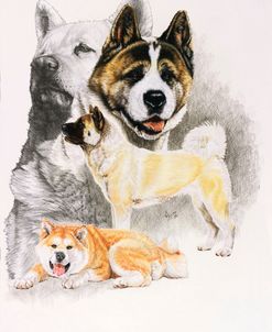 Akita 2