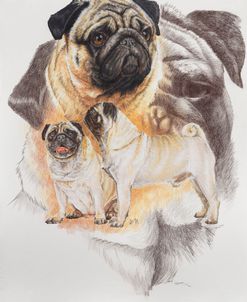 Pug and Ghost