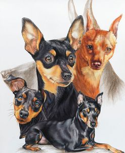 Miniature Pinscher Medley