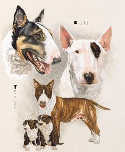 Bull Terrier